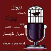 Peyvand – Divar