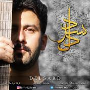 Reza Ranjbar – Delsard