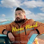 Sepehr Saremi – Hesse Naab