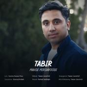 Mahdi Mirdavoodi – Tabir