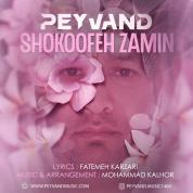 Peyvand – Shokoofeh Zamin