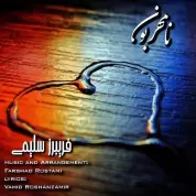 Fariborz Salimi – Na Mehraboon