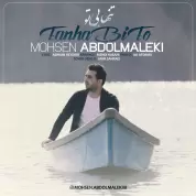 Mohsen Abdolmaleki – Tanha Bi To