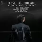Mohsen Soltantabar – Hesse Fogholade