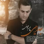 Peyman Alijani – Jodaei