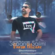Sepand Salimi – Baron Mizane