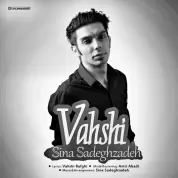 Sina Sadeghzadeh – Vahshi