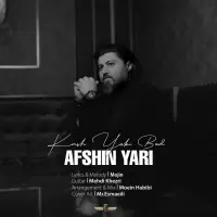 Afshin Yari