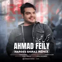 Ahmad Feily