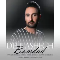Bamdad Shokri