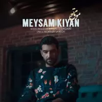 Meysam Kiyan