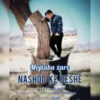 Mojtaba Zare