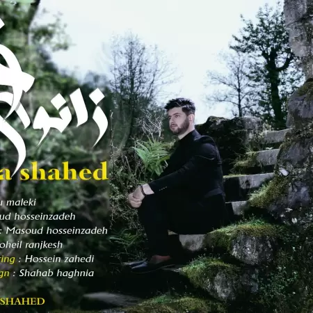 Pouya Shahed – Zanouye Gham Pouya Shahed – Zanouye Gham