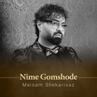 Meisam Shekarisaz – Nime Gomshode