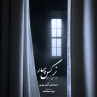 Milad Aliabadi – Nargese Bimar