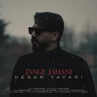 Hesam Yavari