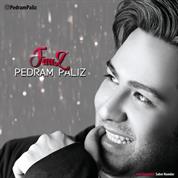 Pedram Paliz – Faaz