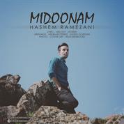 Hashem Ramezani – Midoonam