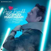 Amir Farrokh – To Shodi Mahtabam