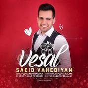 Saeid Vahediyan – Vesal