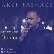 Aref Fashaei – Doldur