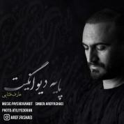 Aref Fashaei – Payeh Divanegit