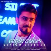 Meysam Ghorbani – Negine Delam
