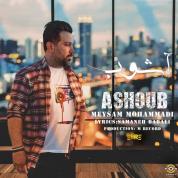 Meysam Mohammadi – Ashoub