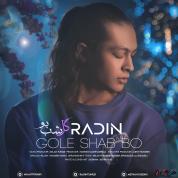 Radin – Gole Shab Bo Radin – Gole Shab Bo