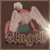 Amir Erfani – Angel