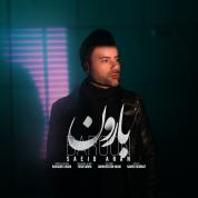 Saeid Aran – Baroon