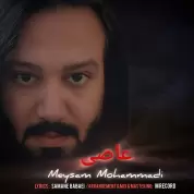 Meysam Mohammadi – Asi