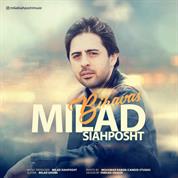 Milad Siahposht – Bihavas Milad Siahposht – Bihavas