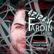 Fardin Salimi – Azizam