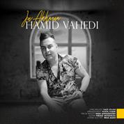 Hamid Vahedi – In Akharia