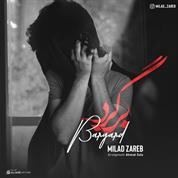 Milad Zareb – Bargard