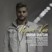 Shayan Shaygan – Negam Kon