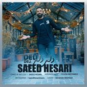 Saeed Hesari – Deli Deli