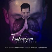 Saeid Feshki – Tanhaeiyam