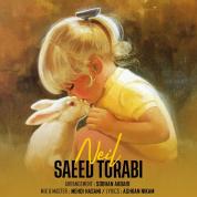 Saeed Torabi – Neil