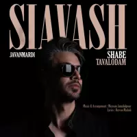 Siavash Javanmardi