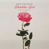 Amir Fakhaari – Shakhe Gol (Guitar Version)