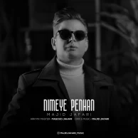 Majid Jafari – Nimeye Penhan
