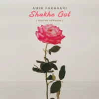 Amir Fakhaari