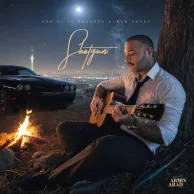 Armin Arad – Shotgun