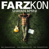 Shayan Amini