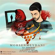 Mohsen Meydani – Hamon Misham