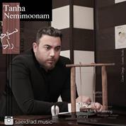 Saeid Rad – Tanha Nemimoonam