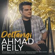 Ahmad Feily – Deltangi
