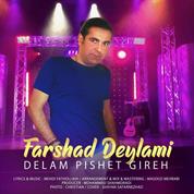 Farshad Deylami – Delam Pishet Gireh